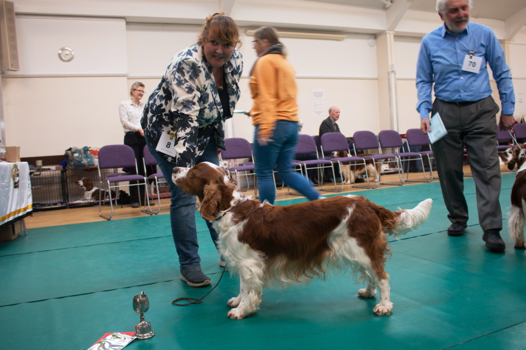 Post Grad Dog Post Grad Dog